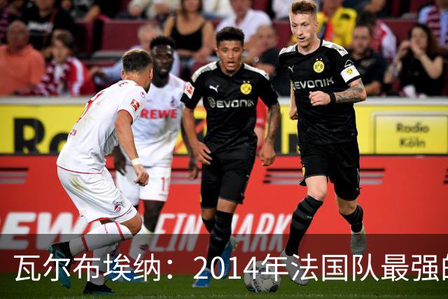 瓦尔布埃纳：2014年法国队最强的是博格巴，最被低估的是马图伊迪