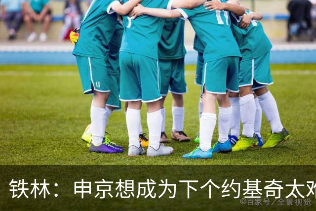 铁林：申京想成为下个约基奇太难了 火箭频繁变动影响了他的性格