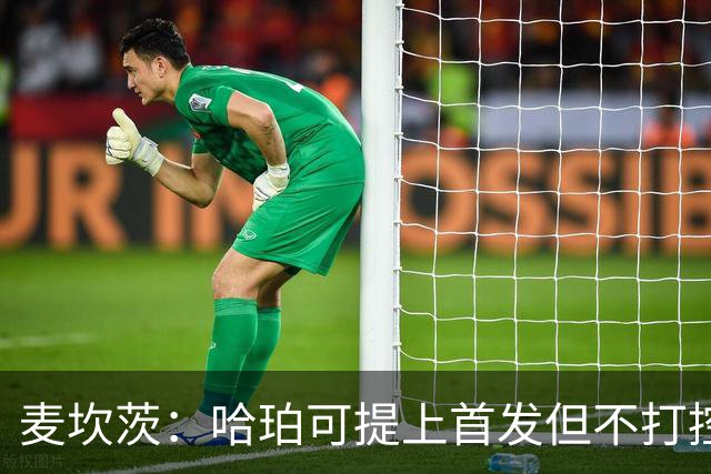 麦坎茨：哈珀可提上首发但不打控卫 建议马刺留福克斯打五小